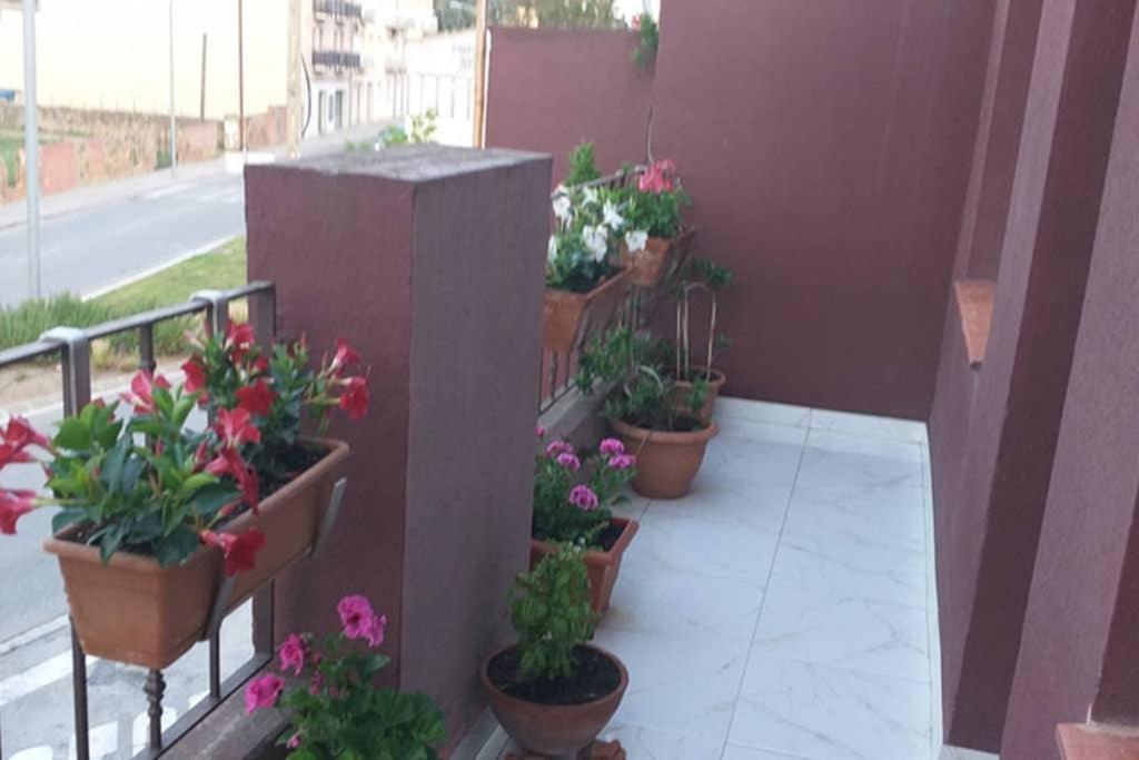Apartamento Vacaciones Palafrugell Exteriér fotografie